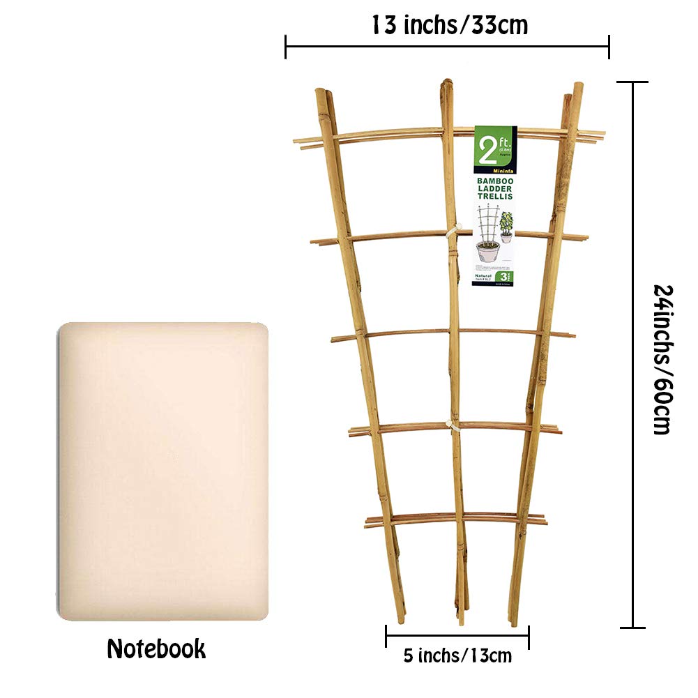 Natural Bamboo Trellis 24 Inches Tall, Mininfa Garden Ladder Trellis, Plant for Climbing Plants, Vegetables, Pots - 3 Pack