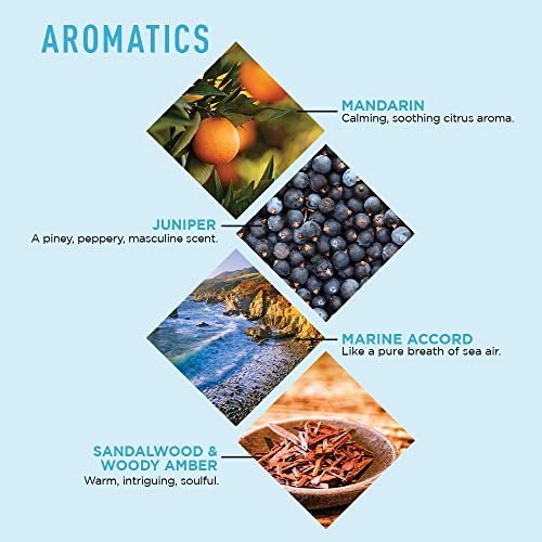 Jack Black Big Sir Body & Hair Cleanser, 33 Fl Oz – Marine Accord & Amber – Mens Body Wash, Mens Shampoo, Skin Care, Hair Care, Dual-Purpose Body Wash Men, Sulfate–Free