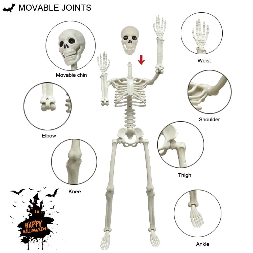 2 Pack 36in Posable Plastic Skeleton Halloween Decor - 3 ft Halloween Decor
