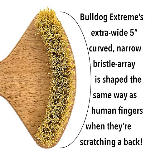 THE BULLDOG Extreme Back Scratcher, The Scratchiest Bulldog, with Extra Stiff Bristles for Serious Skin Itch Relief and Pleasure, Best Gift for Men and Women, Caution Extremely Scratchy