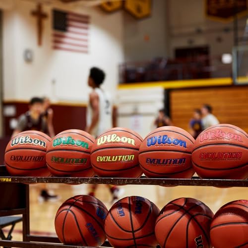 WILSON Evolution Indoor Game Basketballs - Size 5, Size 6 and Size 7