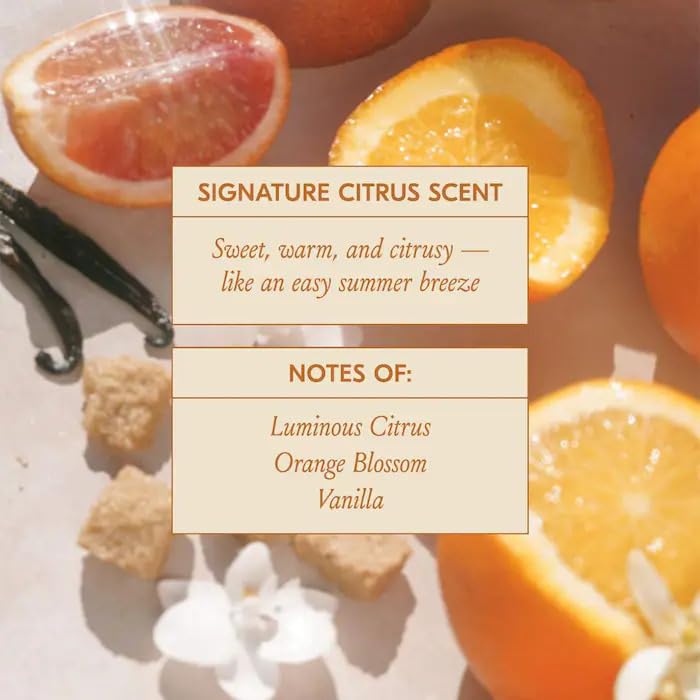 DAE Hair Tool Box (3-In-1 Styling Cream, Fairy Duster Dry Shampoo, Signature Shampoo & Signature Conditioner)