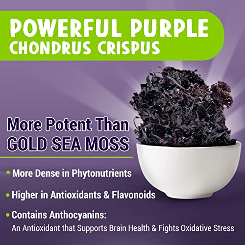 MAJU's Powerful Purple Sea Moss Capsules (60 ct), Extra-Strength Purple Minerals, Chondrus Crispus, Stronger Than Gel, Compare to Organic Irish Seamoss Capsule, Wild Harvested Powder Pills