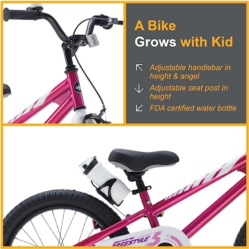 RoyalBaby Kids Bike EZ Freestyle Training Free Balance to Pedal Easy Learning Bicycle, 12-18 Inch for Toddlers to Big Kids