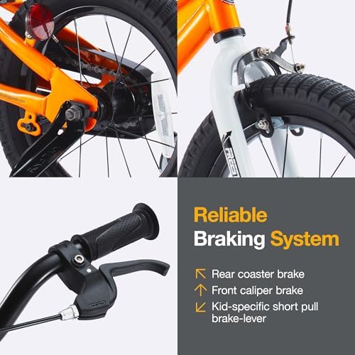 RoyalBaby Kids Bike EZ Freestyle Training Free Balance to Pedal Easy Learning Bicycle, 12-18 Inch for Toddlers to Big Kids