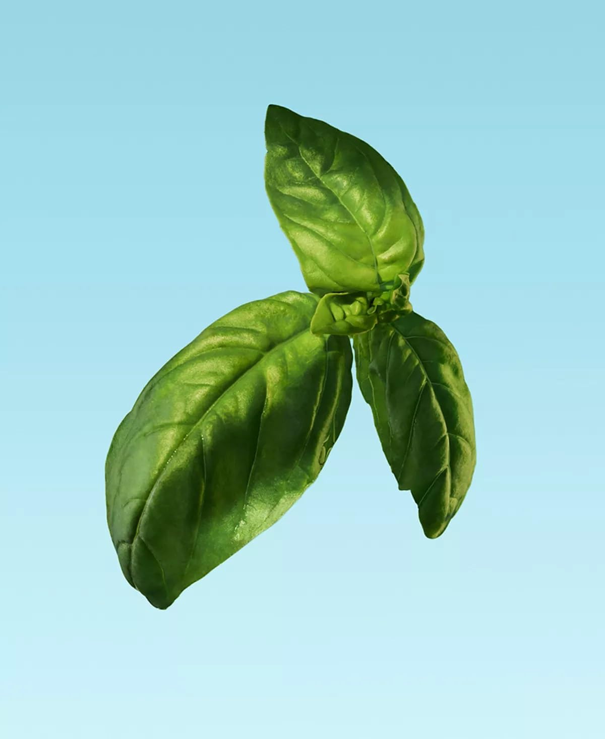 Calvin Klein Eternity Aqua For Him Eau de Toilette 6.7 fl oz