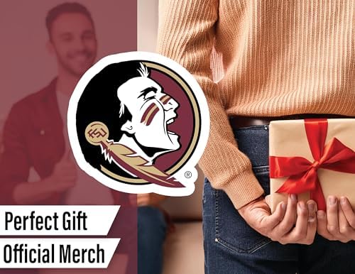Florida State Stickers (14 Piece) FSU Gifts for Men Football Fans for Car Laptop Water Bottle + 2 Large Seminoles Car Decals, 10 Water Bottle Size, 2 Keyboard Size