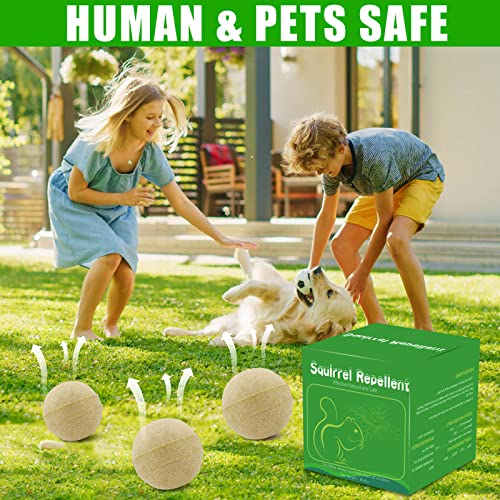 12 Pack Natural Squirrel Repellent for Outdoor Car Yard Garden Plants Indoor Bird Feeder, Peppermint Planted Ingredients Rodent Squirrel Deterrent, Keep Squirrel Mouse Away