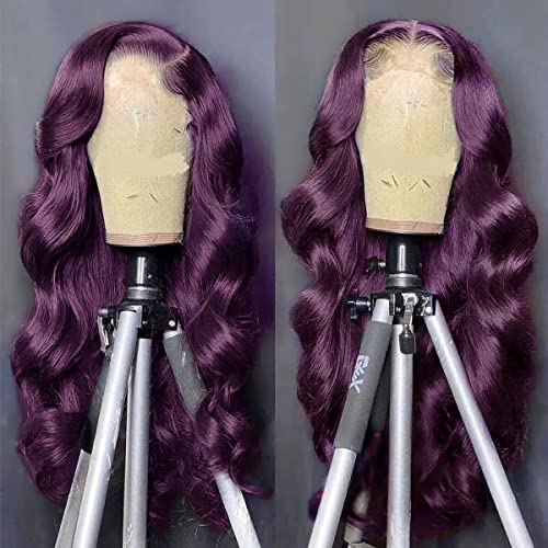 Colorful Bird Dark Purple Human Hair Wig Body Wave Deep Burgundy 13x4 Lace Front Wigs Grape Purple Glueless Wigs 180% Density for Women HD Transparent Lace Front Wigs 18 inch