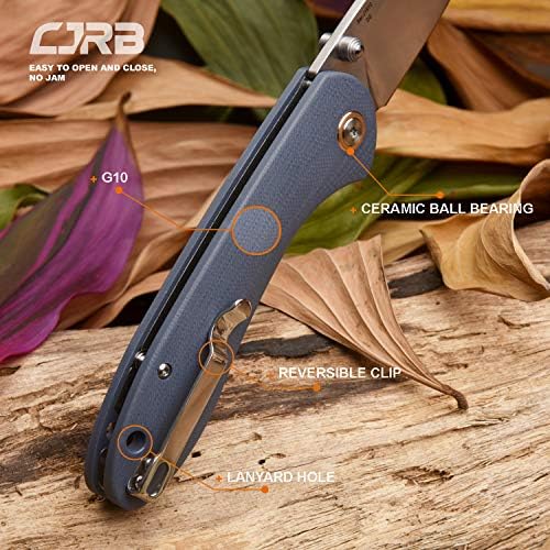 CJRB Folding Knife Feldspar Pocket Folding Knife Stonewash D2 Steel Blade G10 Tactical Handle EDC Knife,Blue Handle-Large(J1912)