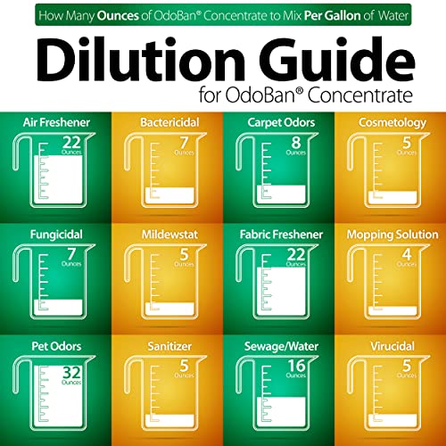 OdoBan Ready-to-Use Disinfectant and Odor Eliminator, Made in the USA, Citrus Scent, Set of 2, 32 oz Spray and 1 Gallon Concentrate