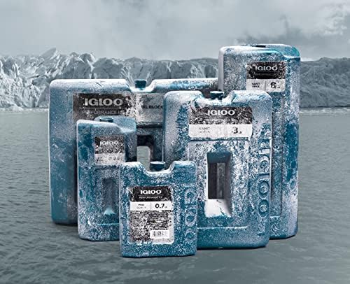 Performance Ice XL Block