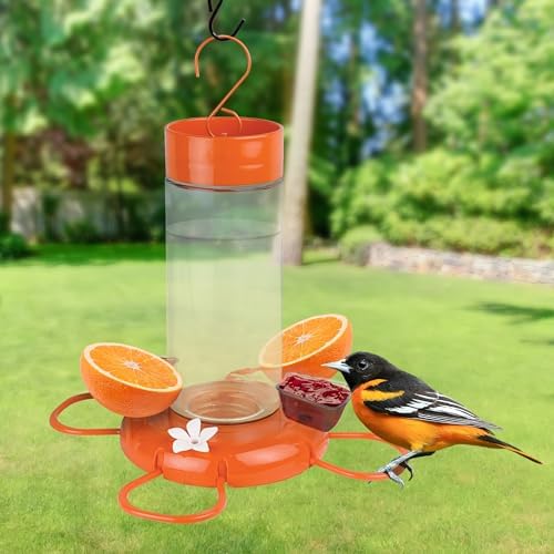 Nature's Way Hanging Glass Oriole Feeder for Outdoor Décor, 30 Ounce Capacity Nectar Feeder, Jelly Dishes, Orange Fruit Holders, 4 Eash to Clean Flexible Ports, Ant Moat, Bee Guards, Orange