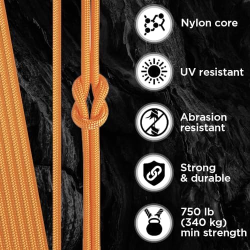 TECEUM 5/32" Paracord Rope 1000 – 1000ft / 200ft / 100ft / 50ft – Tactical Parachute Cord 4mm – 45+ Colors – Nylon String for Survival & Camping Gear – Stripe Cord for Survival – Utility Rope