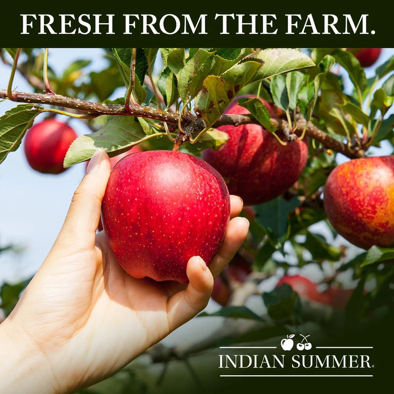 Indian Summer 100% Tart Cherry Juice, Made with Real Fruit, Real Montmorency Cherry Juice Packed with Antioxidants (46 Ounce, Pack of 2)