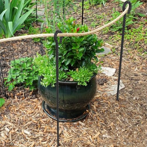 18 Inch Rebar Stakes with Loop 12 Pack Tent Stakes Heavy Duty 1/2 Inch Diameter Metal Tree Stakes and Supports, Rope Stakes for Walkway Fence Trampoline Outdoor Camping, Black