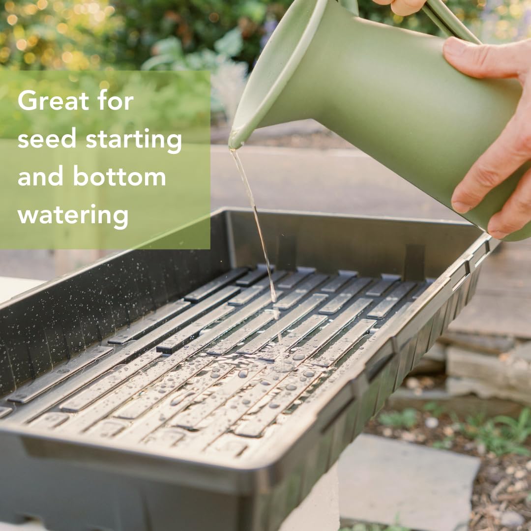 Bootstrap Farmer 1020 Trays (10-Pack), Heavy Duty No-Hole Flats for Microgreens, Fodder & Seedling Propagation - 1.8mm Thick Reusable Plastic