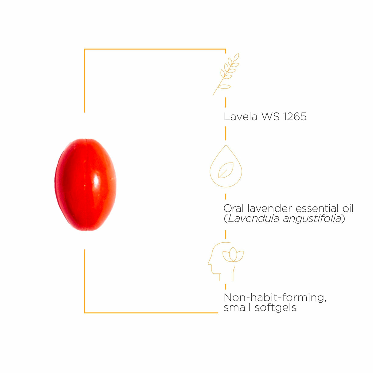 Integrative Therapeutics Lavela WS 1265 - Lavender Essential Oil Supplement for Sleep & Stress Support* - Dairy-Free - 60 Softgels (60 Servings)