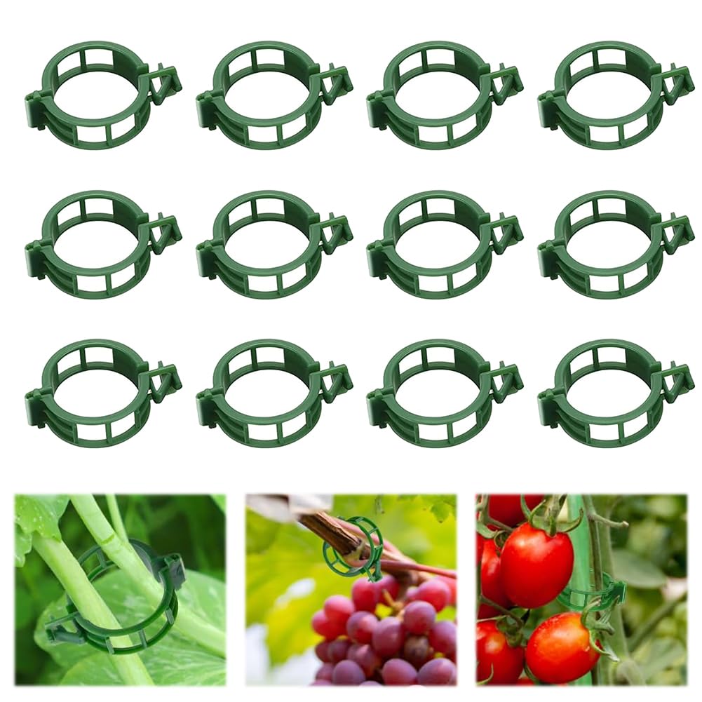 100pcs Plant Support Clips, Plastic Clips for Climbing Plants (100, Green)