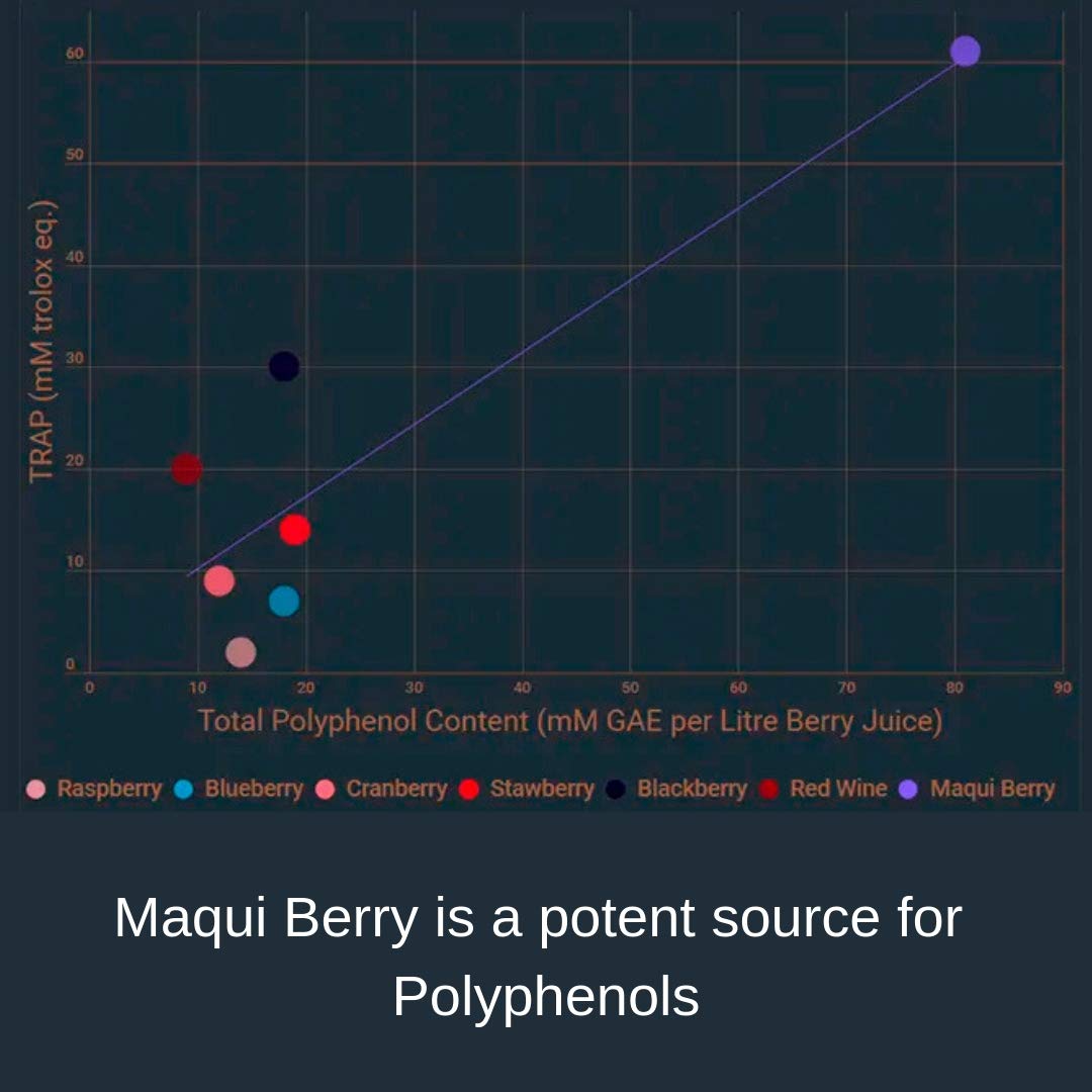 Noomadic Maqui Berry, 60 Capsules | 500mg Each, Antioxidant (High ORAC), Immune System Support, Supports Dry Eyes (Supports Tear Production), Standardized Extract (10% Anthocyanins)