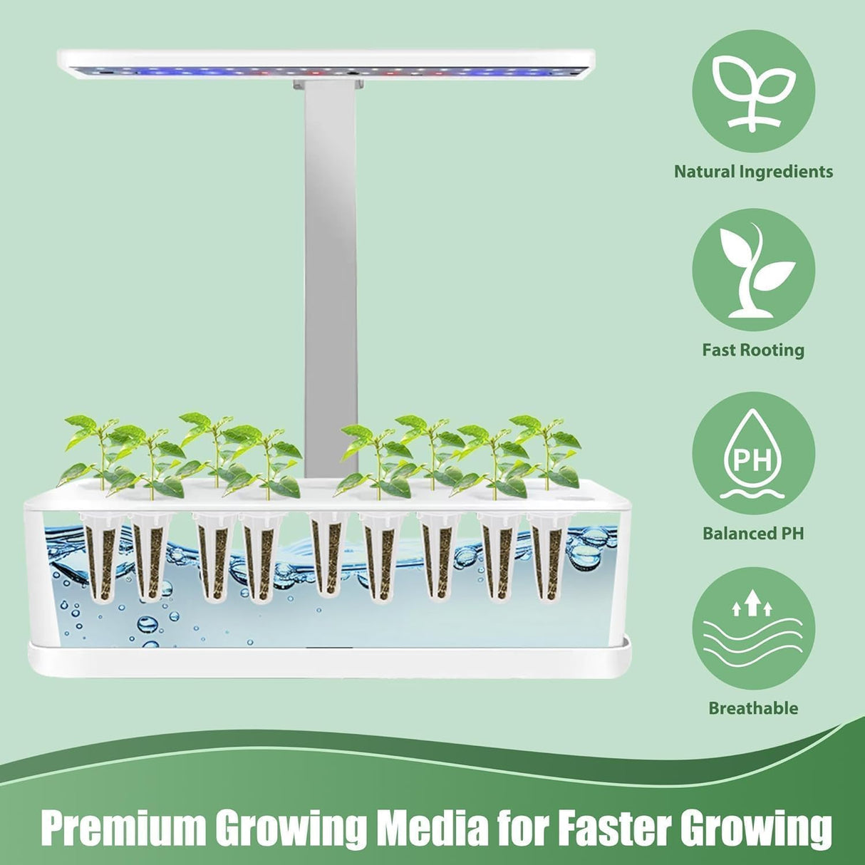Basil Seed Pods for AeroGarden - 12 Hydroponic Refill Herb Pods with Seeds of Genovese Basil for Most Hydroponic Systems of Ahopegarden, GARDENCUBE, iDOO, and URUQ, Grow Your Own Herb Garden at Home