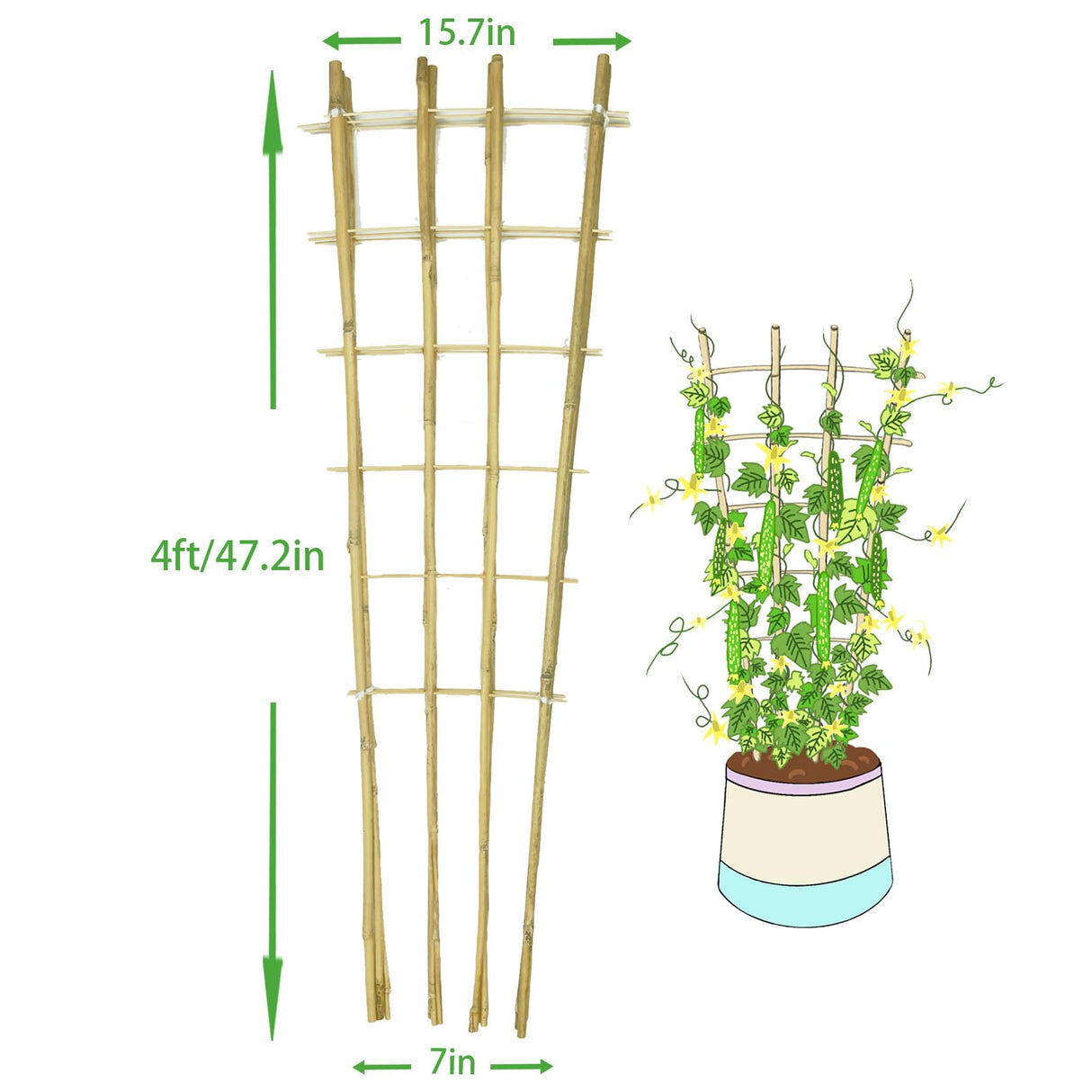 Natural Bamboo Trellis, 4Feet,3Pack,Fan-Shaped Plant Support Trellis for Outdoor and Indoor Potted Climbing Plants,Vegetables, Cucumber, Tomato, Hoya,