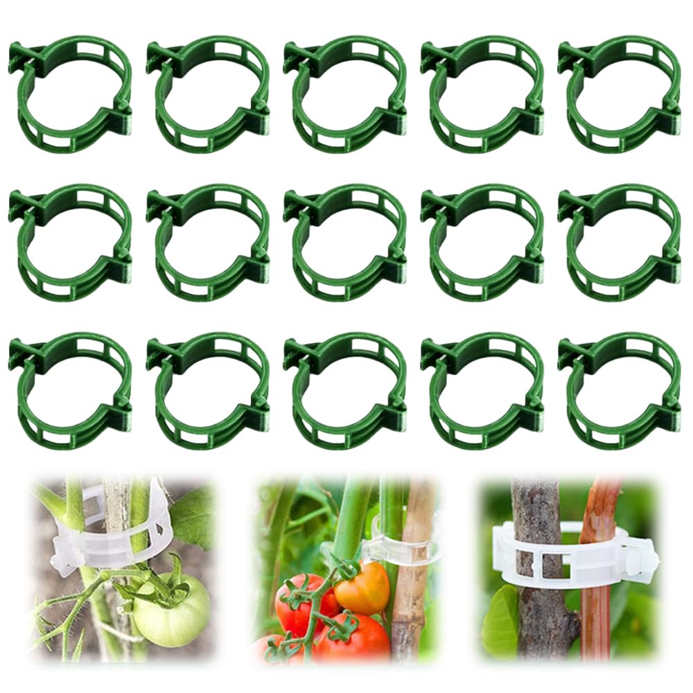 Secured Plastic Plant Clip, 2025 New Garden Plant Support Clips for Climbing Plants, Plastic Trellis Clips Tomato Grape Vine Vegetables Plant Fixing Clips (50, Green)