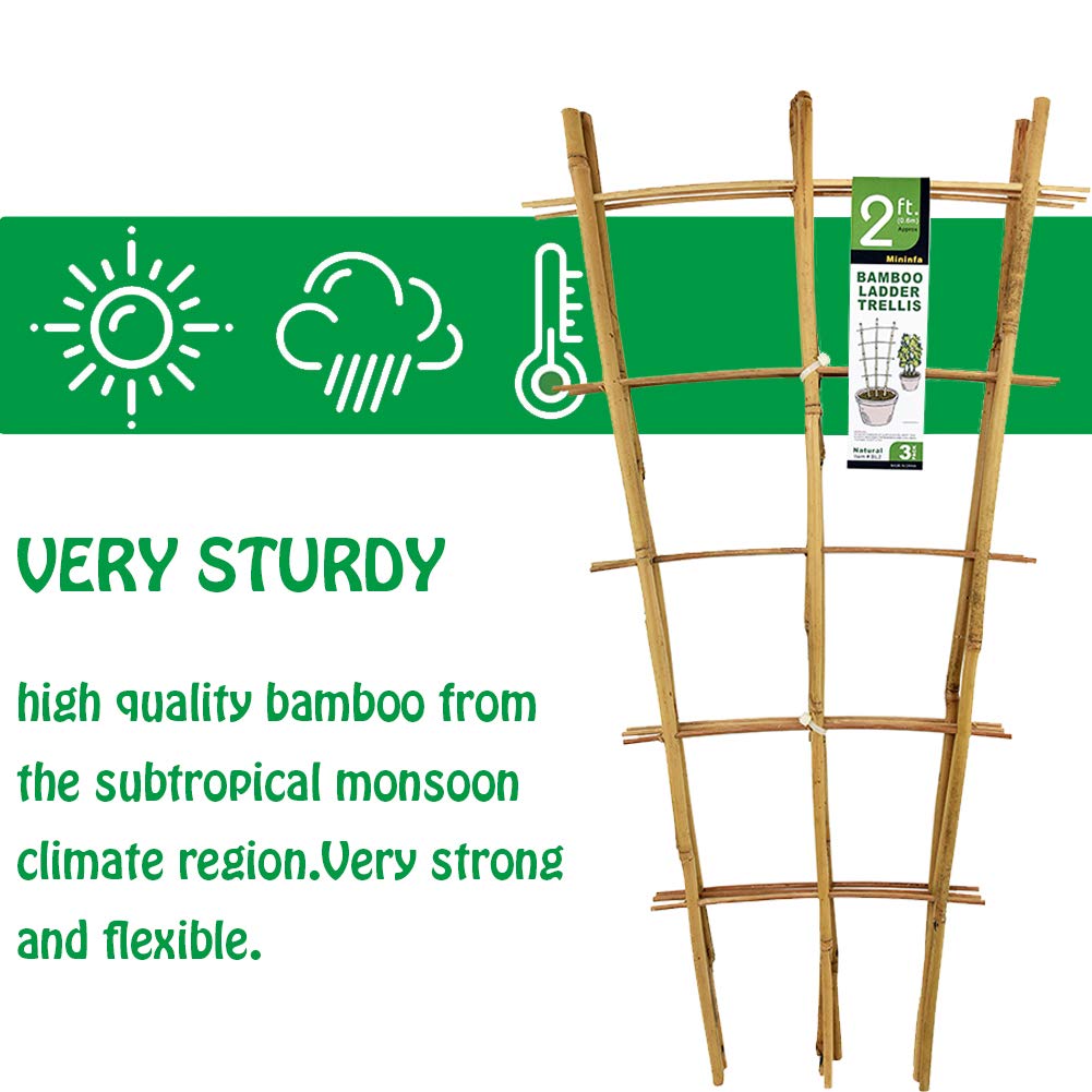 Natural Bamboo Trellis 24 Inches Tall, Mininfa Garden Ladder Trellis, Plant for Climbing Plants, Vegetables, Pots - 3 Pack