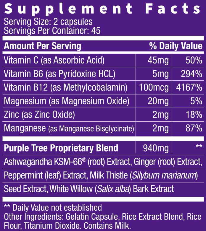 purple tree Next Day, Post-Celebration Wellness - Take Tomorrow | Replenish & Feel Your Best | Ashwagandha, Ginger, Peppermint, Milk Thistle, Electrolytes, Vitamins, 90 Pills