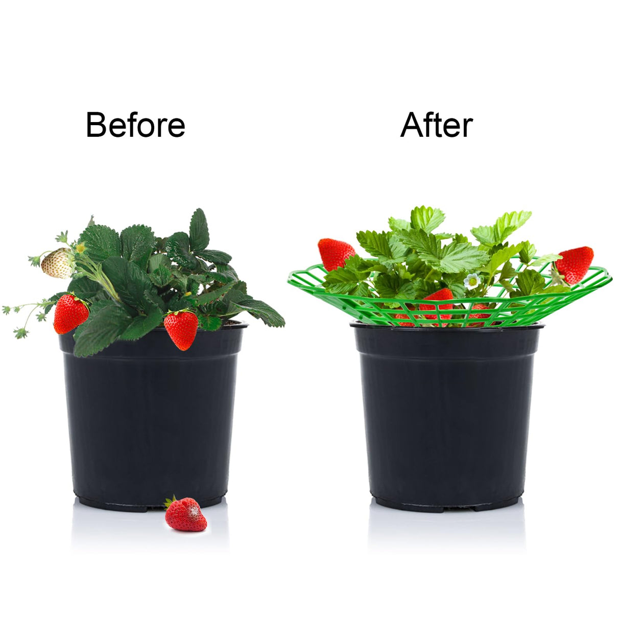 Pumtus 20 Pack Strawberry Supports, Strawberry Plant Stand With 3 Sturdy Legs, Strawberry Growing Racks, Strawberry Growing Frame Holder Cage, Keeping Berries Clean