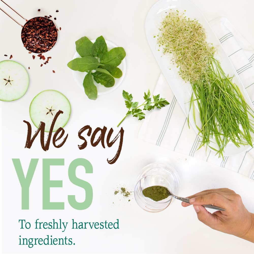 Garden of Life Raw Organic Perfect Food Green Superfood Juiced Greens Powder - Chocolate, 60 Servings, Non-GMO, Gluten Free, Vegan Whole Food Dietary Supplement, Plus Probiotics, Enzymes