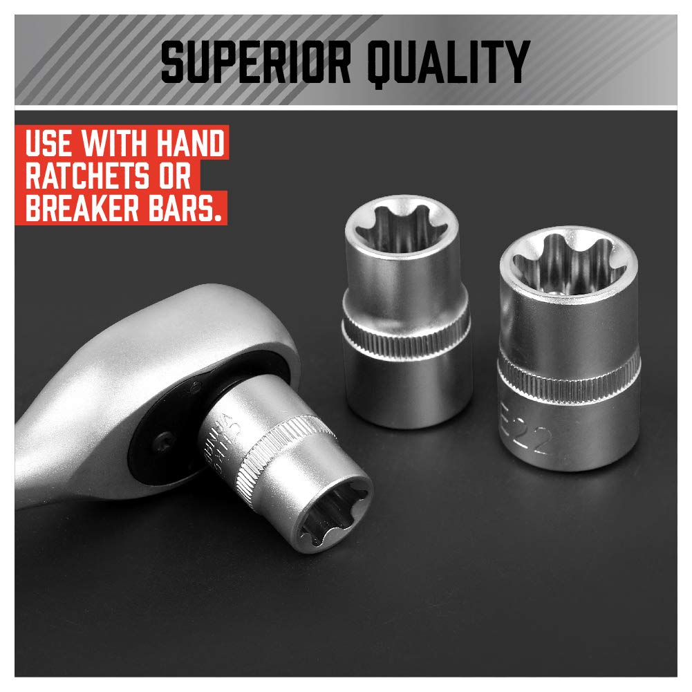 SEDY 14-Piece E-TORX Socket Set - Premium Female Torx Socket Set, Ultimate Torque Star Sockets, External Torx Sockets, E4 E5 E6 E7 E8 E10 E11 E12 E14 E16 E18 E20 E22 E24