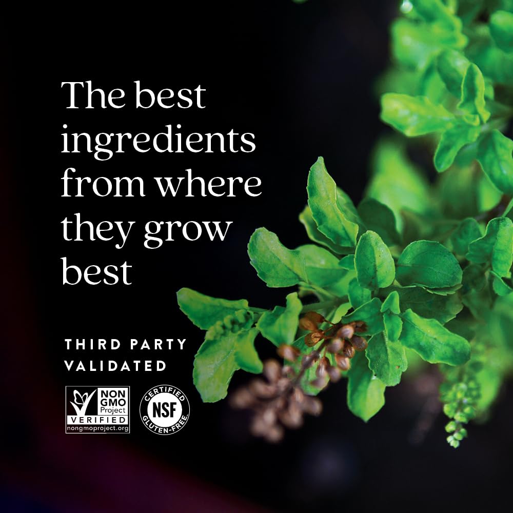 New Chapter Stress Relief Supplement - Holy Basil Force with Supercritical Holy Basil for Stress Support + Immune Support + Non-GMO Ingredients - Vegetarian Capsules, 120 Count