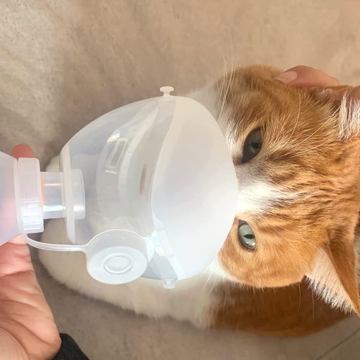 Nomeoop Feline Aerosol Chamber Inhaler Spacer for Cats and Kittens with Exclusive Pet Mask for Small Size Dogs and All Cats