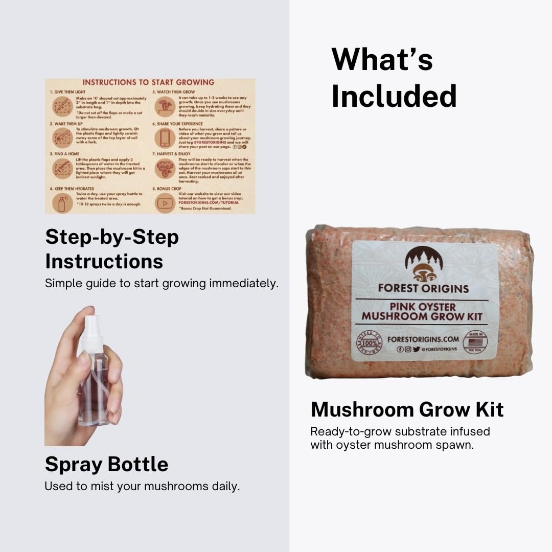 Forest Origins Pink Oyster Mushroom Grow Kit, Beginner Friendly & Easy to Use, Grows in 10 Days | Handmade in California, USA | Top Gardening Gift, Holiday Gift & Unique Gift