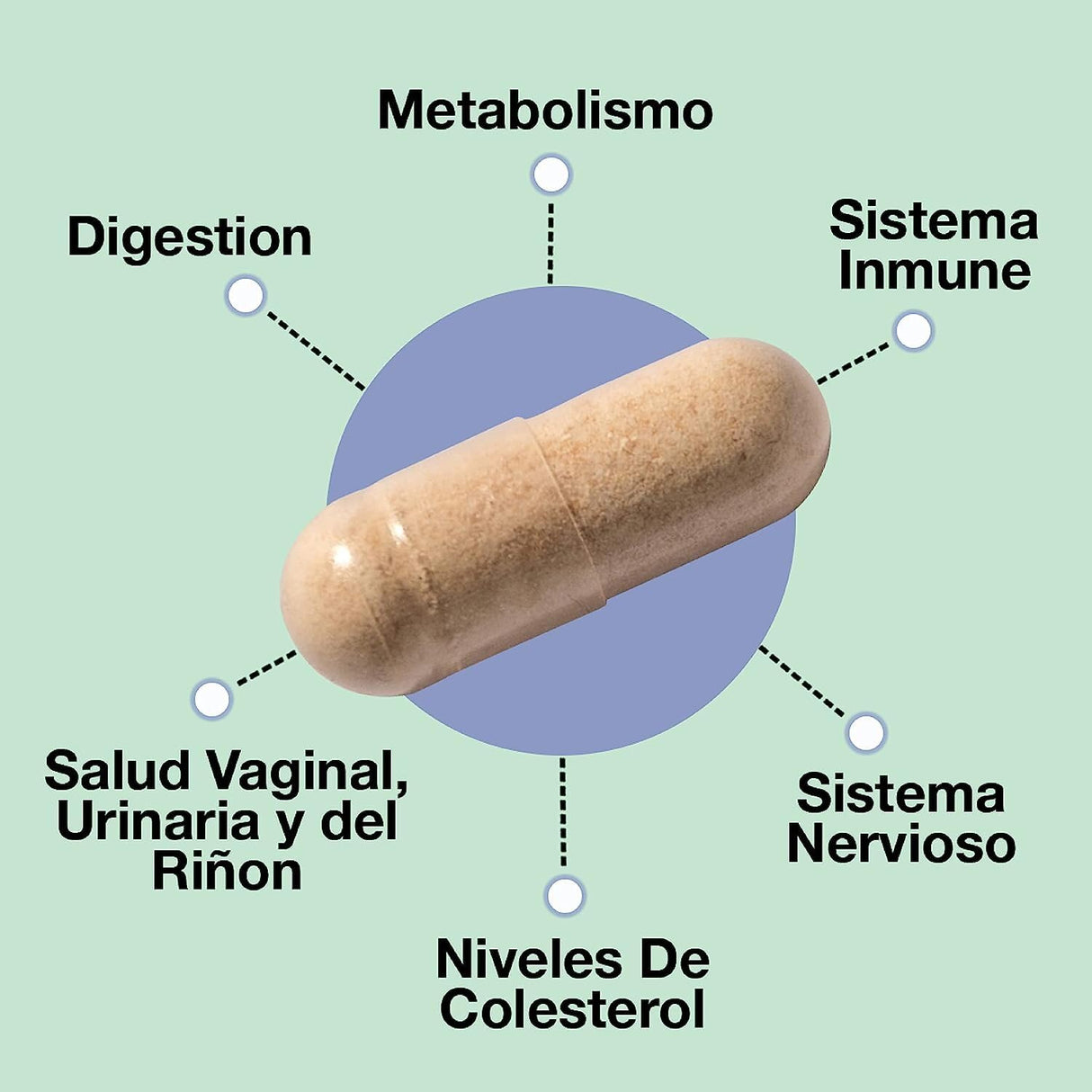 ASULABS® Formula Probiotica Avanzada con 18 Cepas Probioticas Clinicamente Seleccionadas para ayudar a eliminar Los malestares digestivos. para Hombres y Mujeres. Capsulas Vegetarianas.
