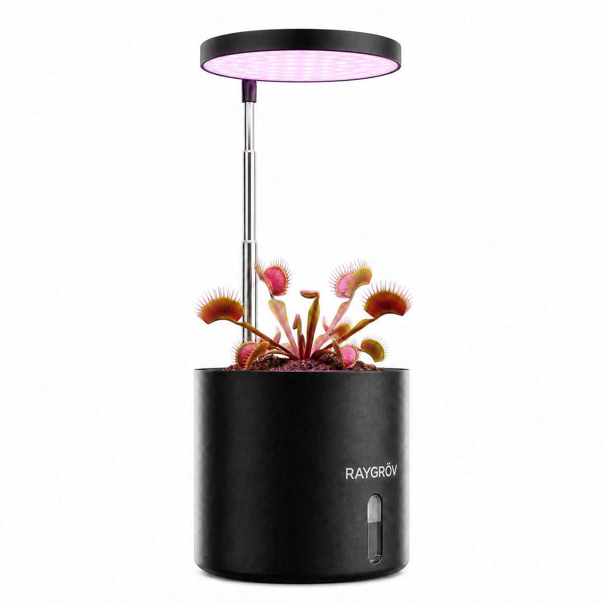 Raygrov Self-Watering Planter with Grow Light, Smart Indoor Pot for Venus Fly Trap, Carnivorous Plants, African Violet, Cat Grass, Catnip & Herbs, 2-in-1 Wall + Desktop, USB 5W Full Spectrum LED