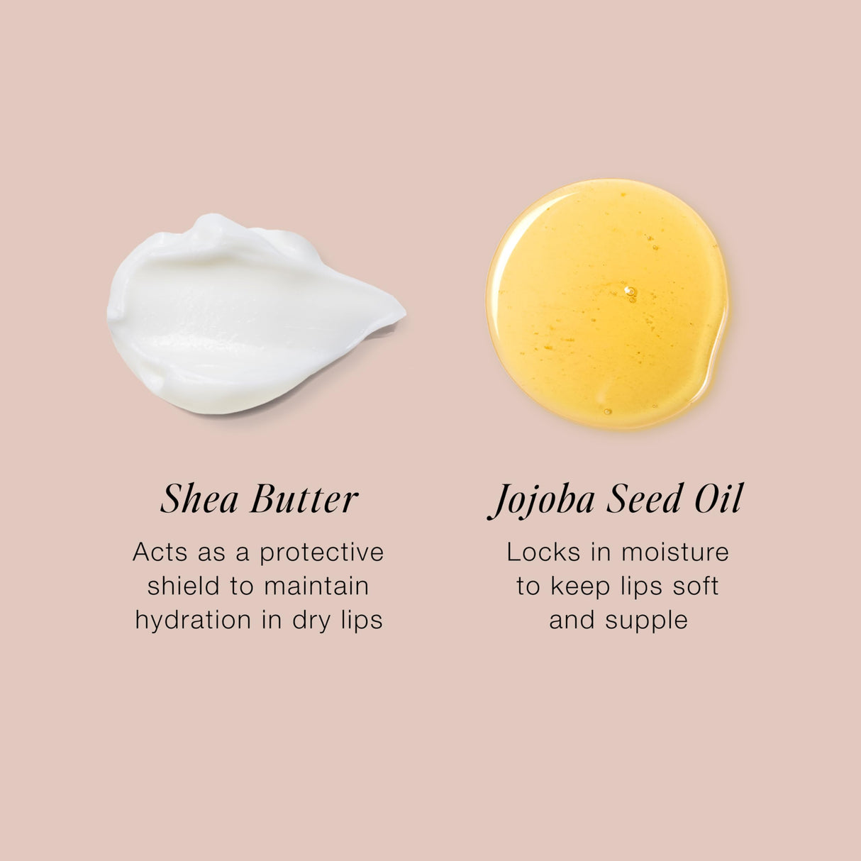 Jouer Balm Bouche Demi-Matte Lip-Féminité - Tinted Lip Balm - Hydrating Lip Tint Long Lasting - Matte Lip Color - Jojoba Seed Oil and Shea Butter Formula