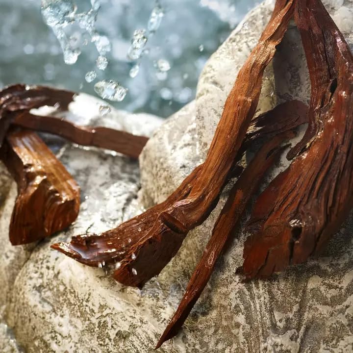 Dolce & Gabbana Light Blue, Eau De Toilette Spray, For Women - 100 ml / 3.3 fl.oz