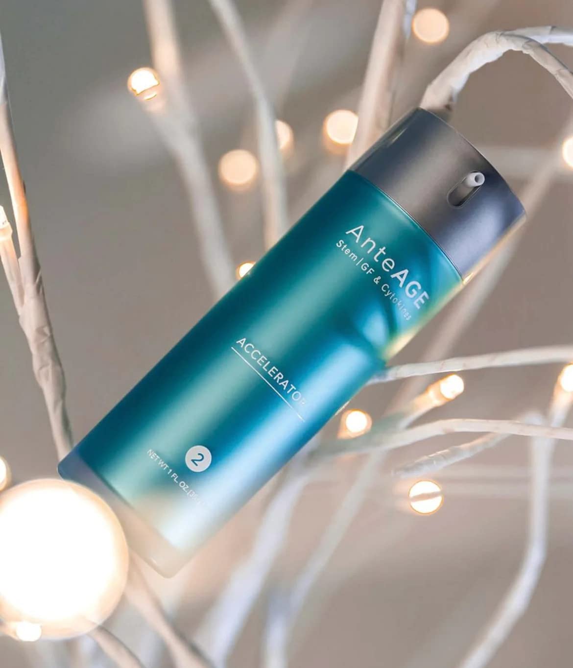 AnteAGE Accelerator Skin Moisturizer (1 FL. OZ. / 30ML)