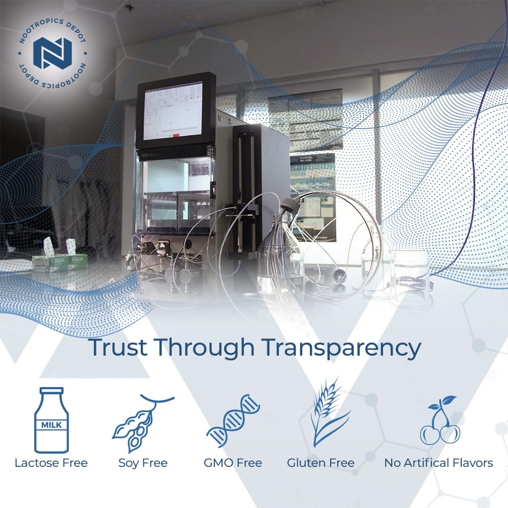 Nootropics Depot Sabroxy® Tablets | 100mg | 90 Count | Minimum 10% Oroxylin-A | Oroxylum indicum | May Help Promote Focus & Motivation | May Help Promote Cognitive Function