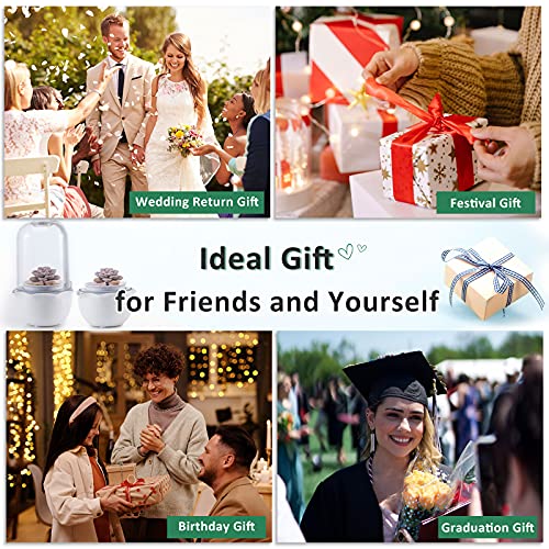 Smart Venus Fly Trap Terrarium Pot with Timer&Fan,Butterwort Plant Pot with Grow Light,Plant Terrarium Kit for Carnivorous Plants, Christmas Birthday Gifts for Women Garden Lover (No Plant)