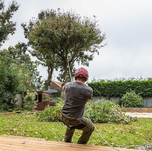 Braided Polyester Arborist Rigging Rope (3/8 inch X 100 feet) High Strength Outdoor Rope for Tree Climbing Hiking Camping Swing, Black