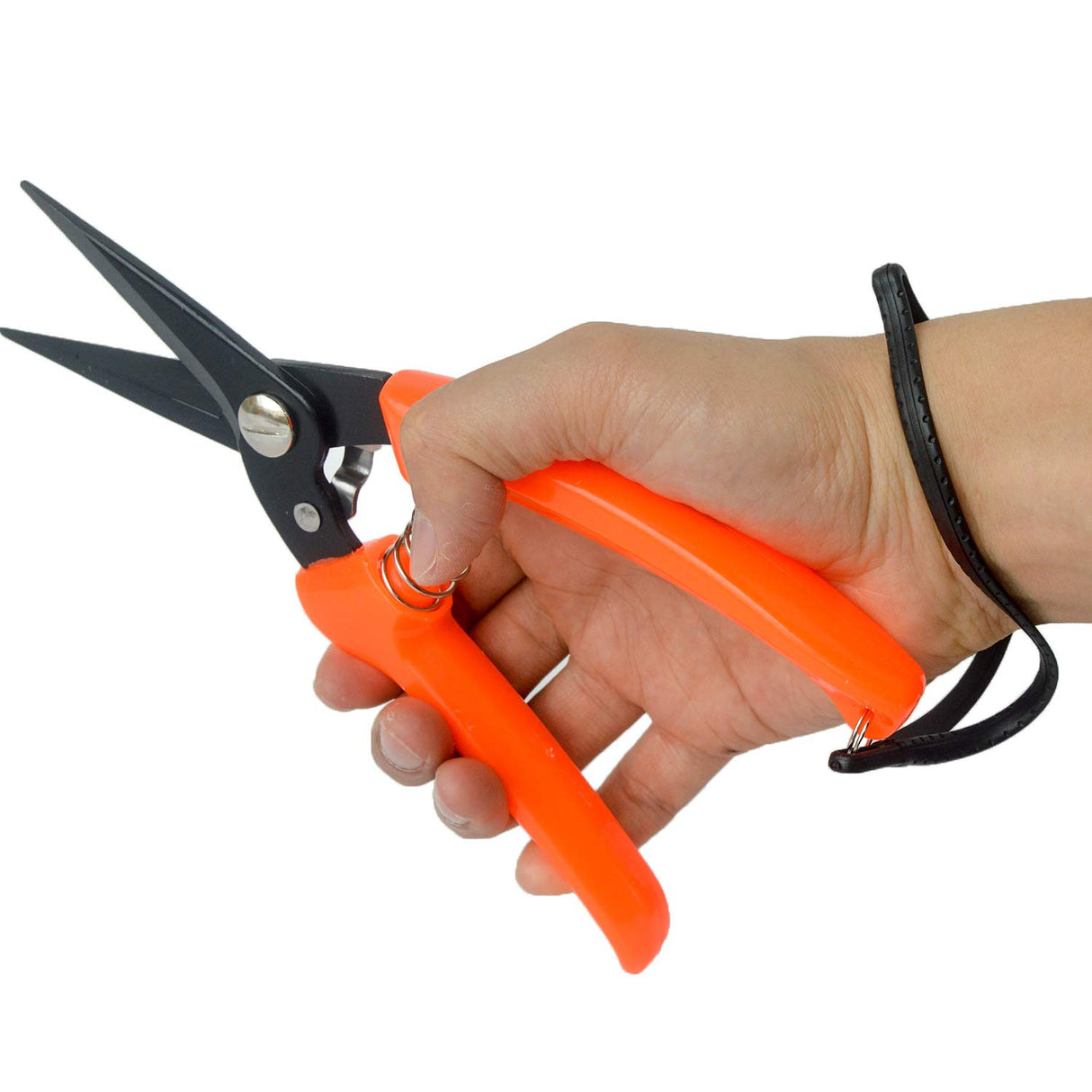 Hoof Trimming Shears for Sheep Goat Hoof Trimmers Multi-Purpose Carbon Steel Pruning Shears for Used by Farmers, Florists and Home Gardeners