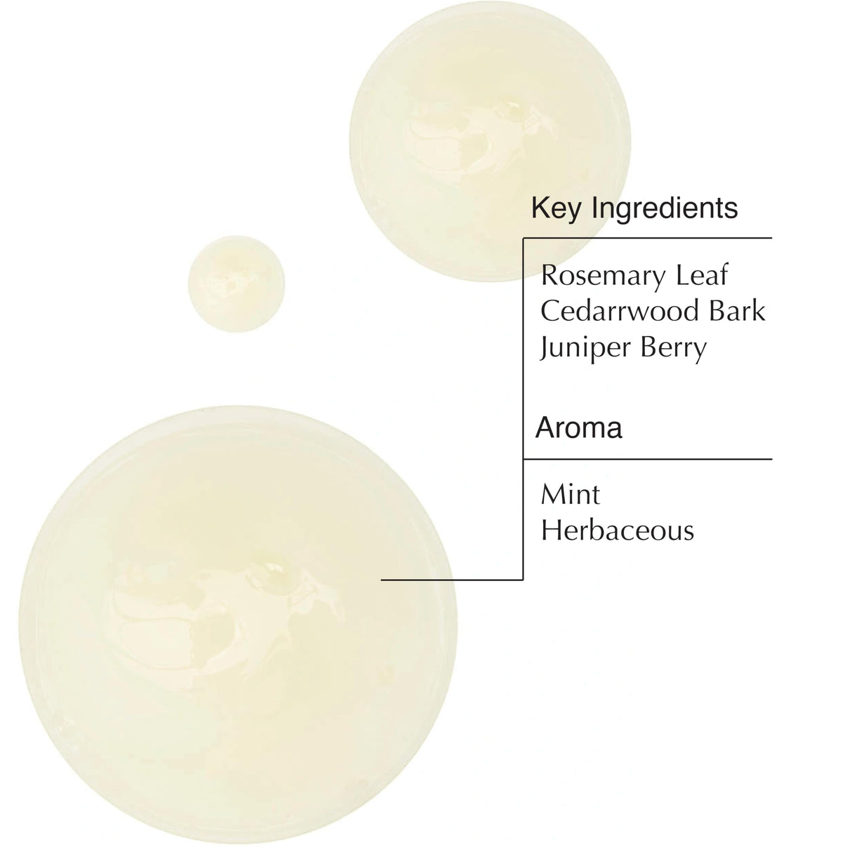 Aesop Classic Shampoo & Classic Conditioner Set | Adds Shine, Hydration, Softness to Hair | 500 mL / 16.9 oz