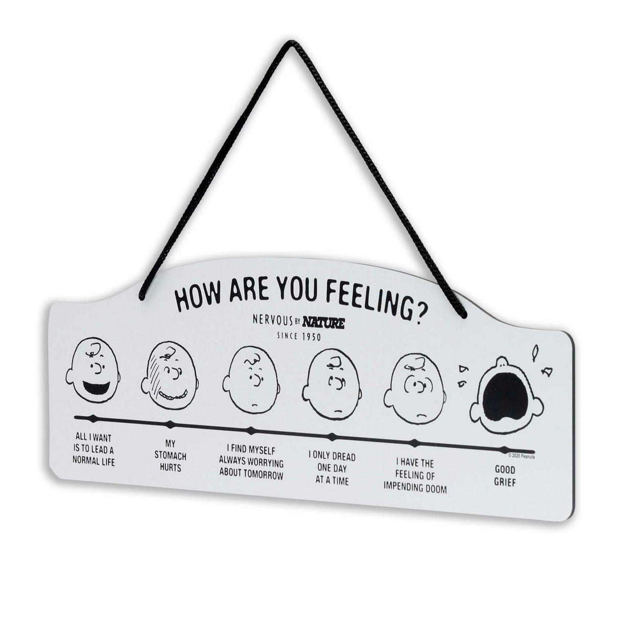 Peanuts How Are You Feeling Hanging Metal Sign - Funny Peanuts Wall Decor for Home - Great Gift Idea