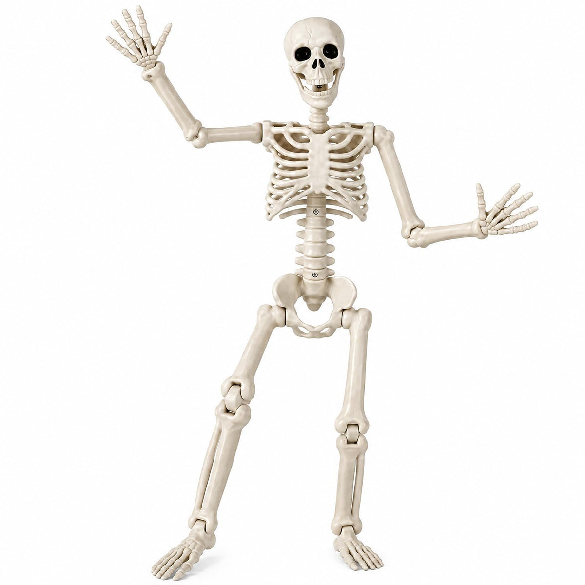 Toolterritary 36" Halloween Skeleton, 3 ft Human Skeleton Full Body Posable Joints Plastic Skeleton for Halloween Decoration, Yard Patio Lawn Garden Skeleton Spooky Party Decoration Indoor Outdoor