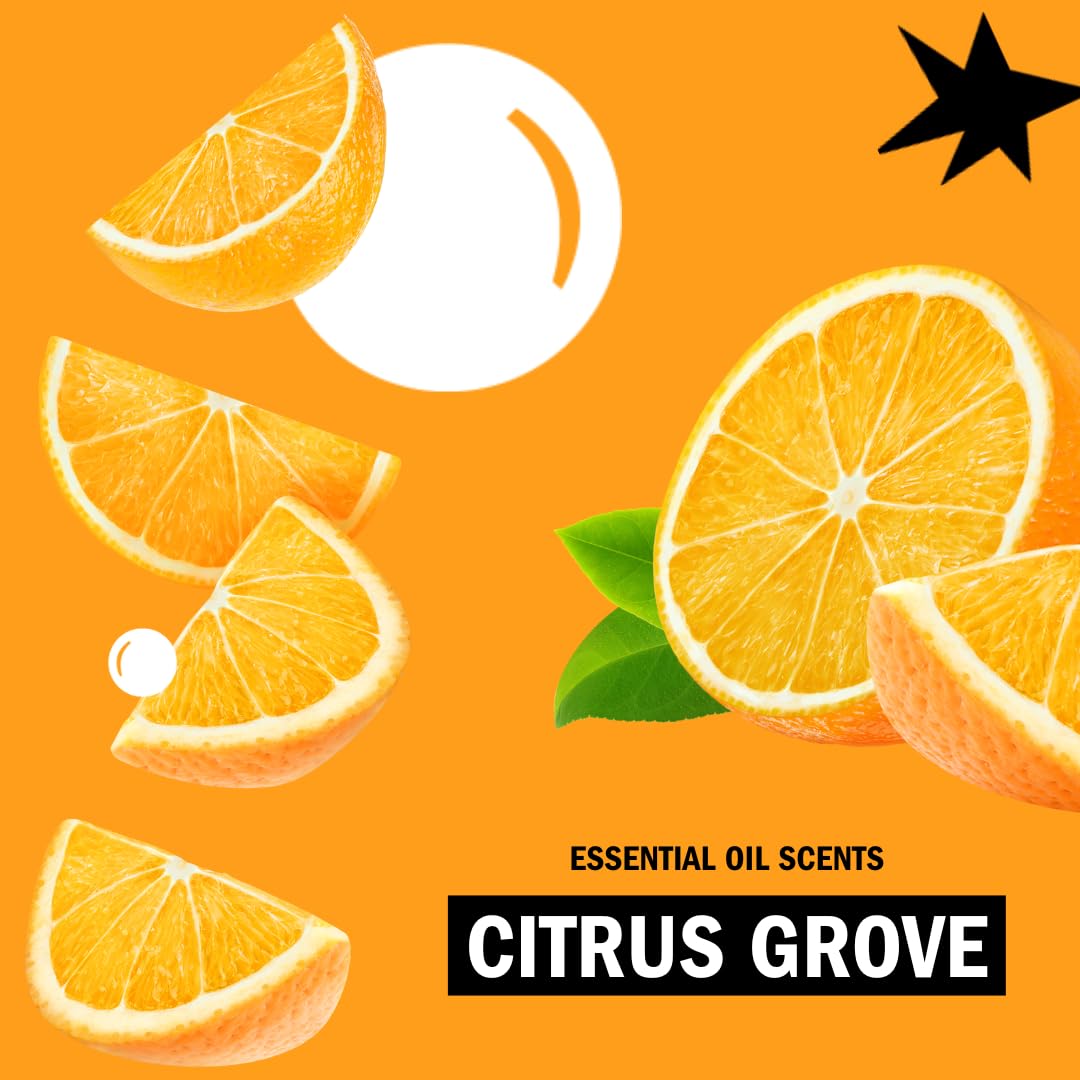 Molly's Suds Original Laundry Detergent Powder | Clean Laundry Detergent Powder for Sensitive Skin | Simple, Effective Ingredients, Stain Fighting | 120 Loads (Citrus Grove)