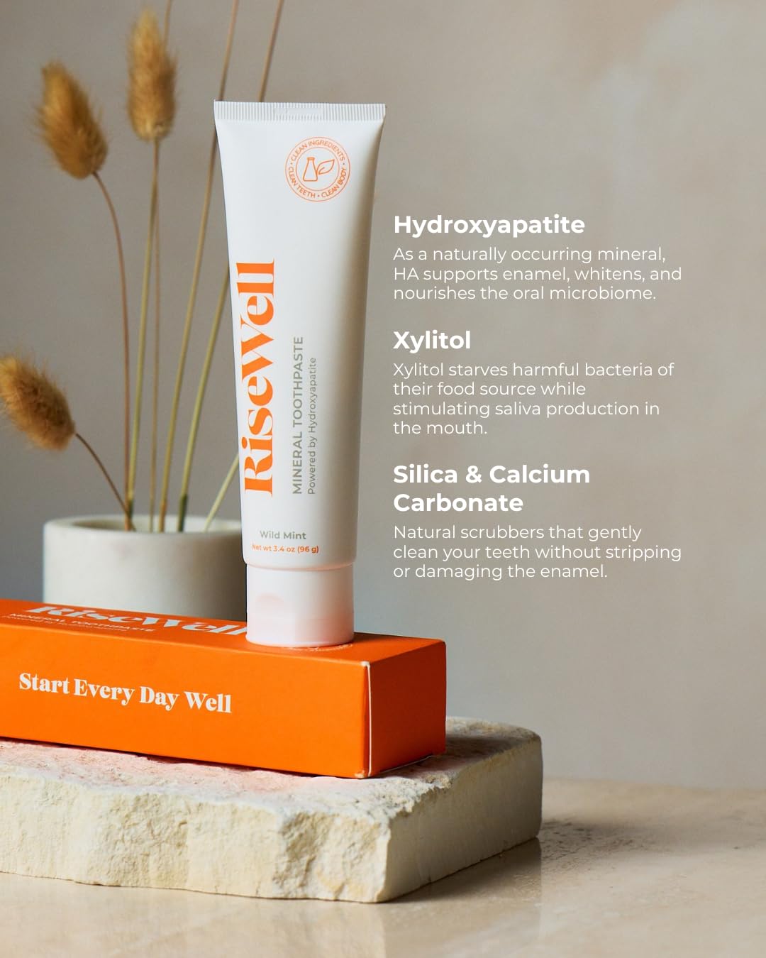 RiseWell Hydroxyapatite Toothpaste Fluoride Free - Wild Mint, 3.4oz