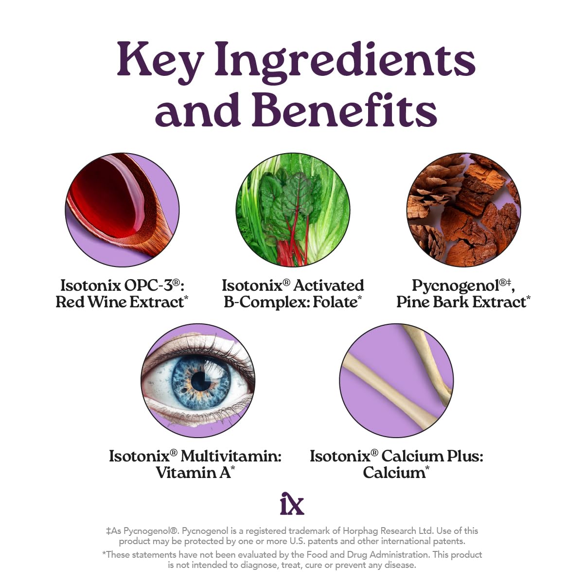 Isotonix Daily Essentials Multivitamin Powder Packets with OPC-3, Multivitamin, B-Complex & Calcium Plus – Gluten-Free, Non-GMO, Fast Absorption Vitamins for Energy, Immunity, and Bone Health